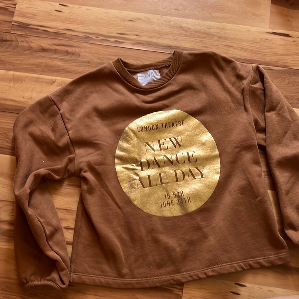 Zara Girl's Brown Graphic Print Sweatshirt